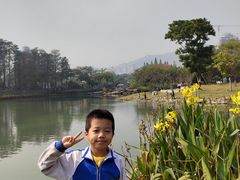 -四海公园(南山区)
