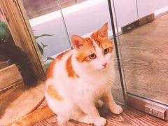 -小时光咖啡馆(开森度假森林店)