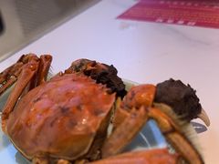 -宽城子美蛙毛肚自助火锅(建邺万达步行街店)