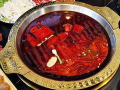 -锅哥有料老火锅(金港国际店)