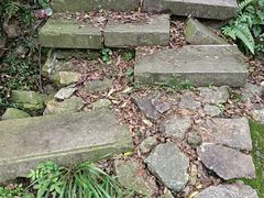 -北仑森林植物园