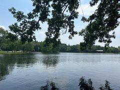 -上海共青森林公园