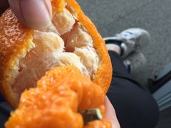 -百果园(奕淳公寓店)