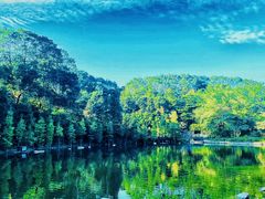 -广州市帽峰山景区