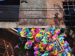-The Grounds of Alexandria