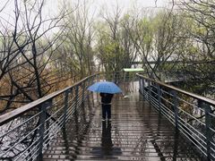 -西湖风景区-江洋畈生态公园