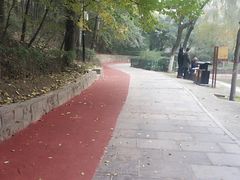 -西安市长乐公园