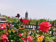 -西海子公园