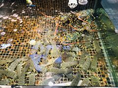 -海鲜e族(马王堆店)