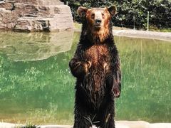 -杭州野生动物世界