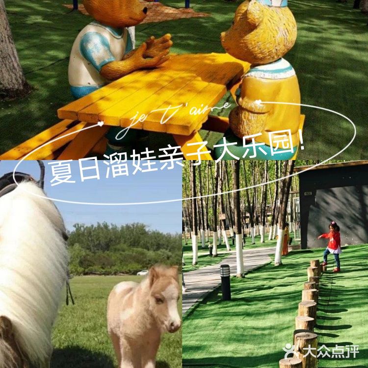 夏天带娃，有动物看还能玩耍[礼花]