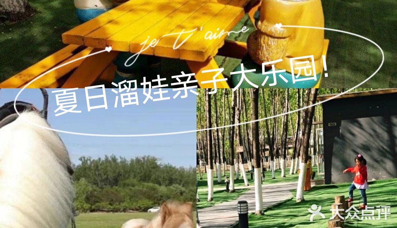夏天带娃，有动物看还能玩耍[礼花]