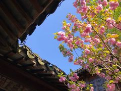 -尚湖风景区