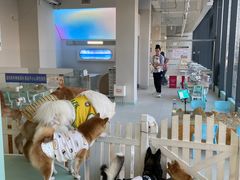 -怪兽屋·羊驼·猫咖·狗咖(俊华广场店)