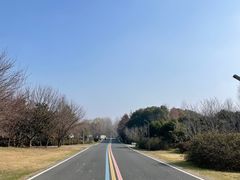 -同里国家湿地公园