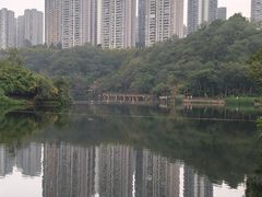 -重庆彩云湖湿地公园