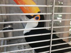 -南宫五洲植物乐园