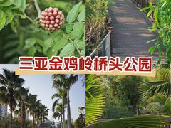 -金鸡岭桥头公园