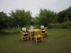 -苏州太湖国家湿地公园