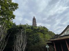 -顺峰山公园