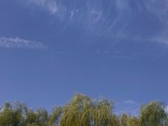 -武清南湖绿博园