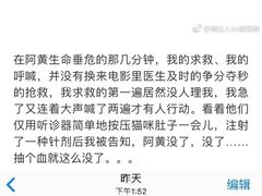 -贝利宠物医院·骨科·眼科·肿瘤转诊中心(南坪诊疗中心)