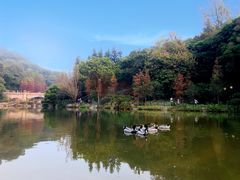 -云溪植物园