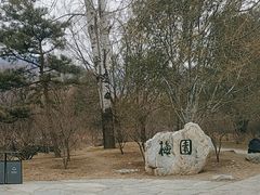 -北京植物园-展览温室