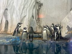 -太平洋海底世界