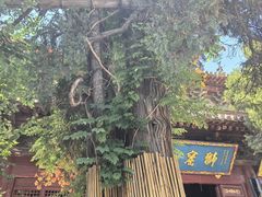 -洛阳白马寺