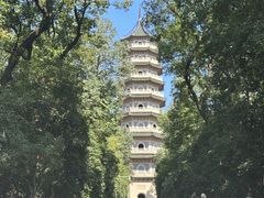 -灵谷景区