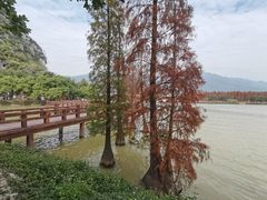 -星湖旅游景区七星岩