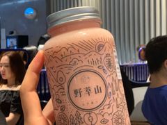 -野萃山·潮汕厚果汁(十亩地店)