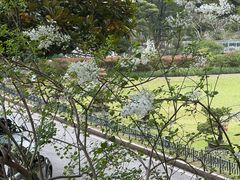 -申粤轩酒楼·三十年粤菜经典(丁香花园店)
