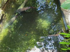 -青青世界
