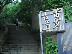 -南山植物园