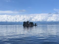 -小普陀