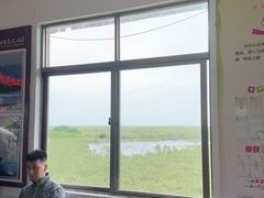 -北海金海湾红树林生态旅游区