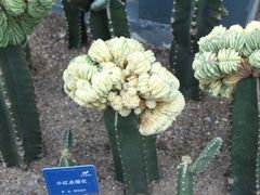-南山植物园