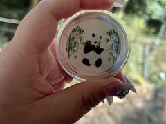 -都江堰中华大熊猫苑