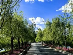 -西湖公园(鼓楼区)