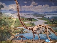 -自贡恐龙博物馆