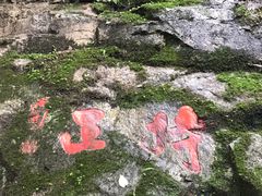-帽儿山风景区