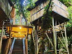 -天门沟九州驿站树上汤泉