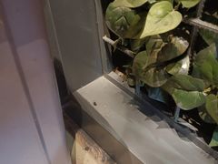 -湘当爱·鲜煮现炒(松岗立业路店)