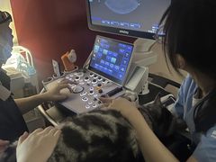 -御宝贝24h宠物医院·转诊中心·CT核磁血透中心(厦门总院)