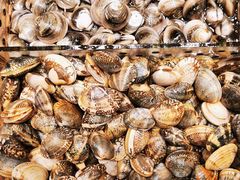 -高佳庄·舟山海鲜(海景旗舰店)