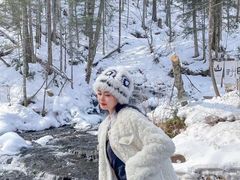 -峡谷浮石林景区