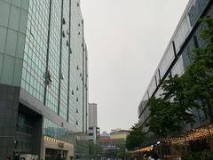-金尚源SHANG