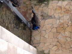 千岛湖开元度假村-杭州千岛湖开元度假村